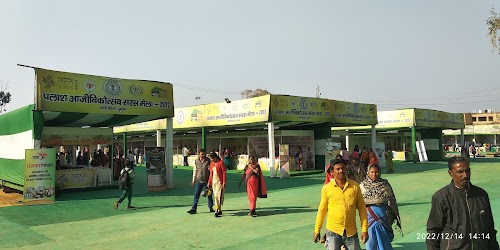 Gandhi Maidan