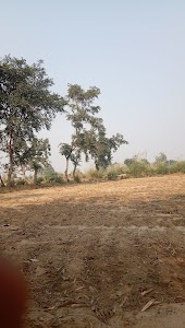 Konsa