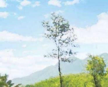 Kerala Tour Online