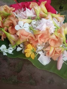 Kartick chako (କାର୍ତ୍ତିକ ଛକ)