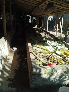 Upadhyaya Vermi Compost