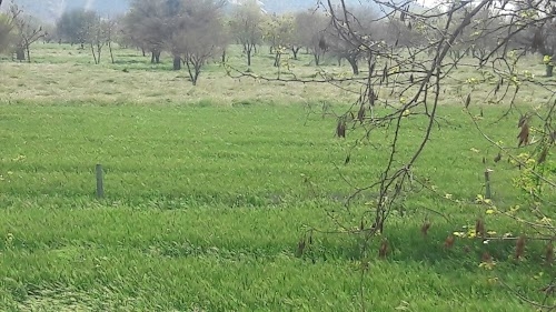 Vijaynagar