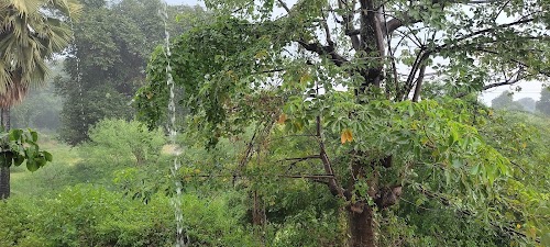 Forest Department Kashi