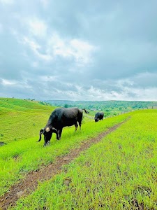 Banswara Rajasthan