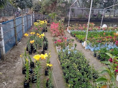 Bankurdaha