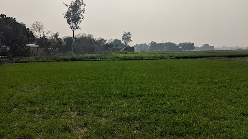 NRS STADIUM