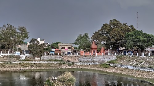 Duck island