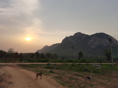 Pakhi Pahar Police Camp