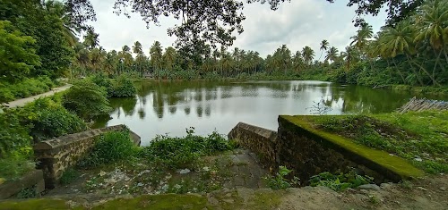 Nallepilly