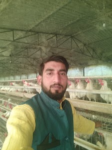 Bharat Feed Ibrahimabad