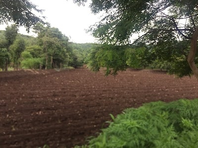 Botarewadi