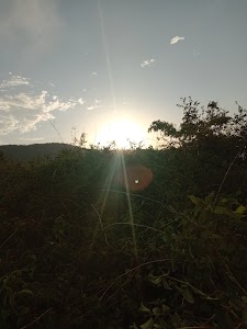 Type 1, Aram Bagh, Jhandewalan