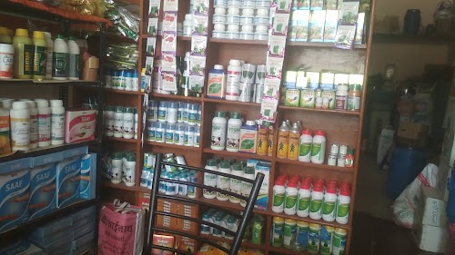 Shree sainath agro agency kadod kalan
