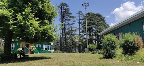 Maple Dak Bangalow