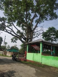 Shiv temple bargad tree for vatsavitri puja