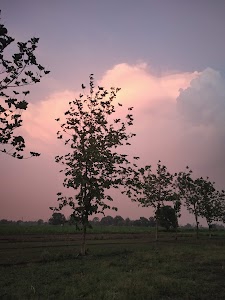 Sikhera