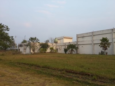 Bangrasiya