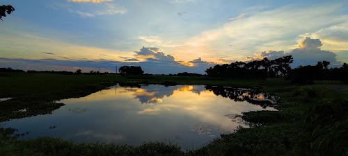 Shishwa Banmankhi