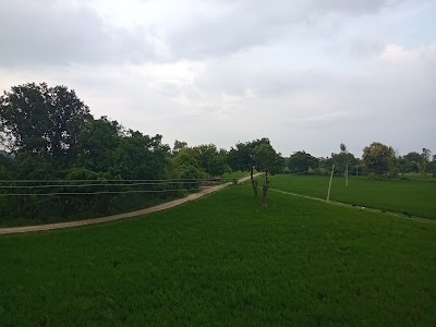 Jhau Primary Pathshala