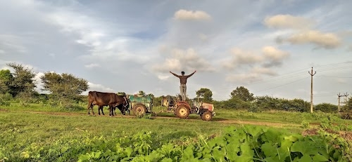 Dindori