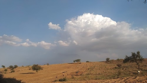 नोहड़ी किराना स्टोर