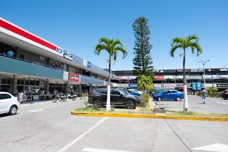 Gran Centro Comercial del Sur