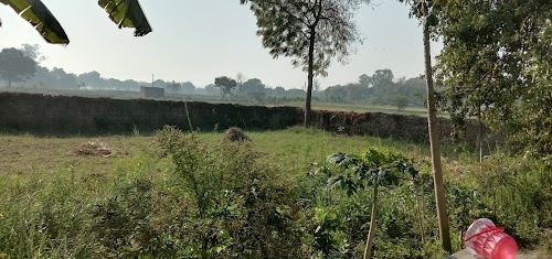 Dariya panthi kuti