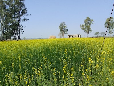 Kanchanpur
