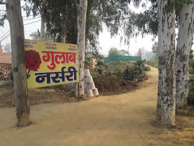 Gulab Nursery
