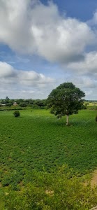 Yadav farm house