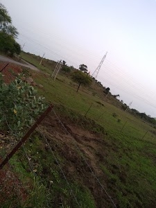Govt. Middle School Toriya