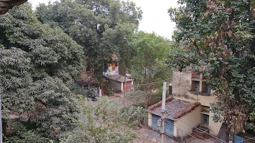 Csbe Colony