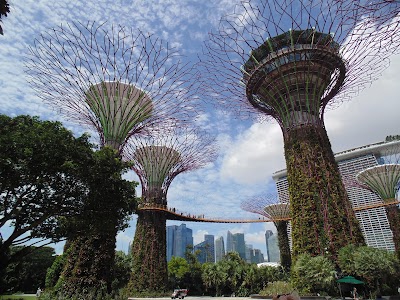 Golden Garden