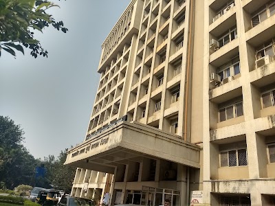 Registrar Of Firms