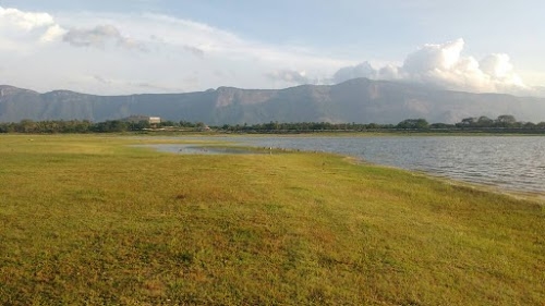 Meenkara Dam