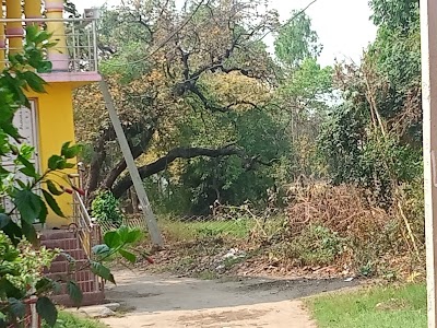 Jhumai