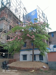 Jaguli