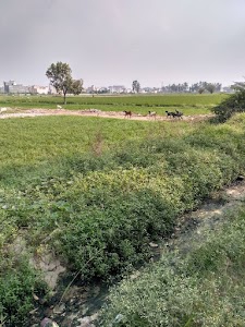 Zangirpura
