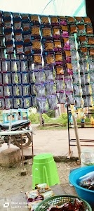 Chhibauli Bus stand