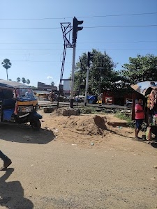 Pothi