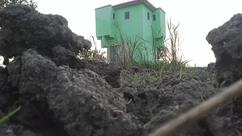 Samardiha