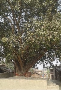 Bramha Baba ब्रह्मम स्धान