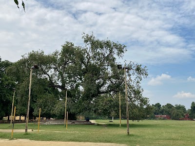 U P College Playground