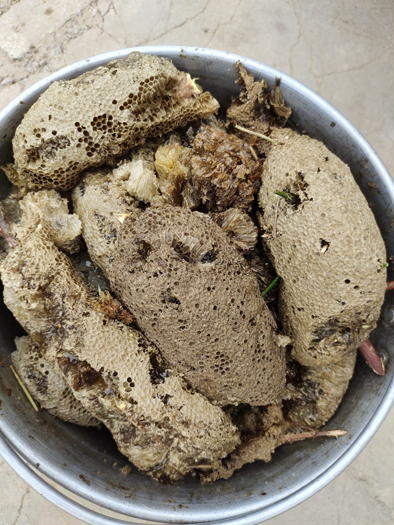 Tungnath Honey ( Taste of Purity )