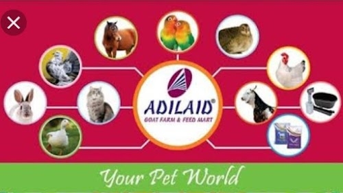 Adilaid shop