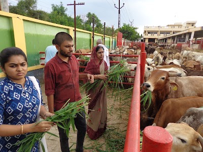 Satyam Shivam Sundaram Gau Nivas