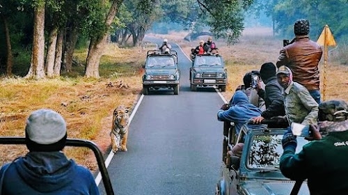 Panna Tiger Reserve Entry Gate