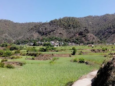 Digra