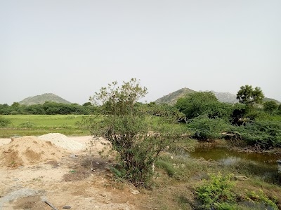 Chirantan Organic Farm