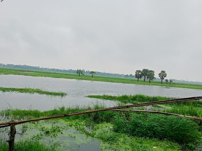 Taraiya Chakiya